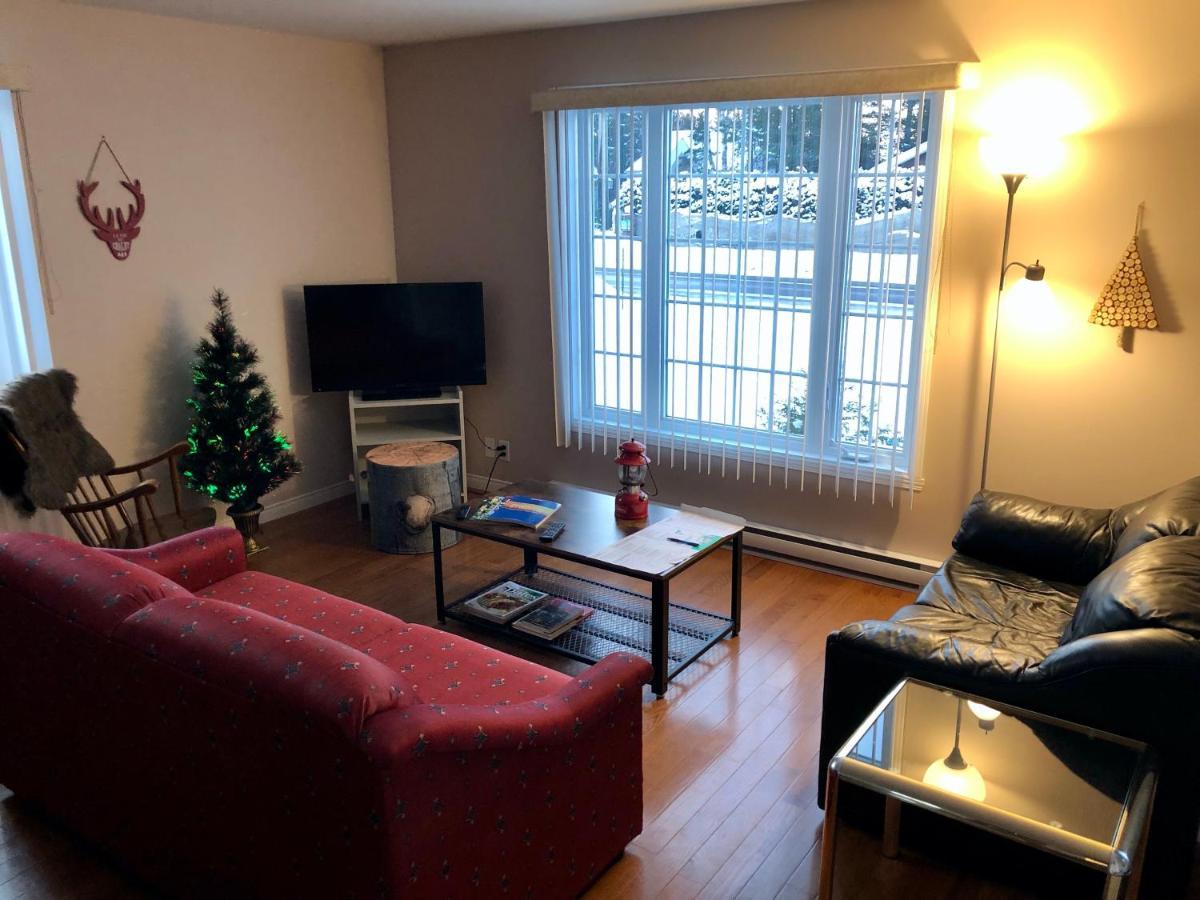 Le Chalet De Claude, Au Pied Des Monts-Valin Saint-David-de-Falardeau Exterior foto